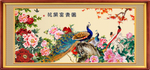 富贵花开