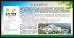 金木集团