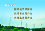 国家电网