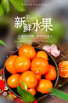 砂糖桔海报