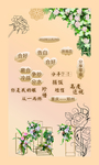 香槟色背景