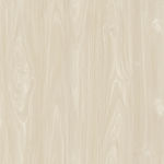 家具高档木纹 300分辨率