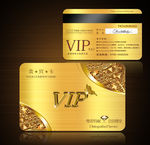 VIP VIP卡 会员卡