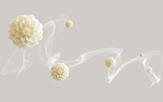玉雕牡丹花轻纱立体背景墙壁画