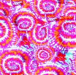 扎染