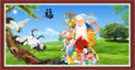 老寿星