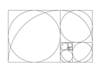 黄金比例螺旋切割线矢量图