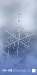 小雪