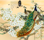 孔雀图