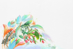 水彩插画