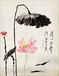 水墨荷花