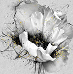 黑白油画花卉