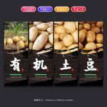 土豆