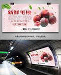 毛桃展架灯箱单页易拉宝海报挂画