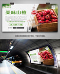 山楂单页灯箱展板易拉宝展架挂画