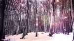 AE模板+PR预设 冬天下雪图