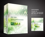 绿色手提袋 手提袋设计 手提袋