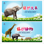 保护动物