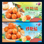 砂糖橘