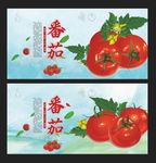 番茄海报