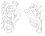 花纹
