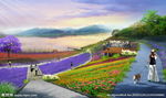 斜坡花海 观江