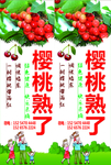樱桃