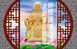 白仙太奶