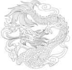 龙