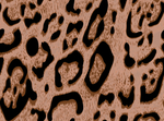 纹