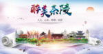 茶陵大醉美文明卫生城市印象海报