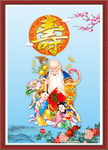 老寿星