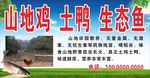 土鸡土鸭