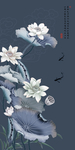 荷花