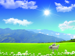 蓝天白云草地