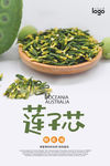 莲子芯海报