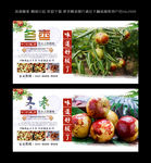 冬枣