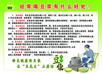 豆先生版面