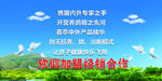 鸽子海报