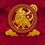 牛年挂历封面