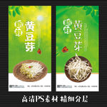 豆芽