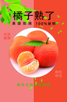 橘子