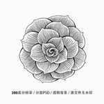 手绘花朵