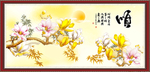 玉兰花