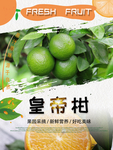 皇帝柑