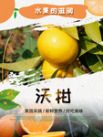 沃柑
