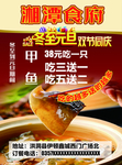 甲鱼海报