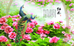 牡丹孔雀背景墙