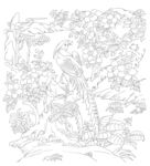 花鸟图