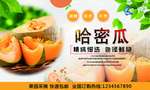 哈密瓜